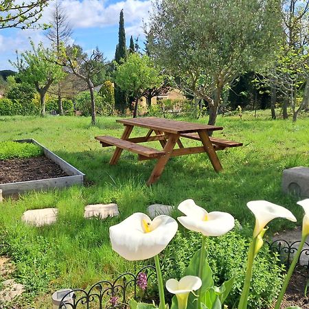 My Quiet Place Near Carcassonne Exterior photo